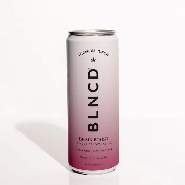 BRAIN BOOST Adaptogen Elixir 1:1 24 pk